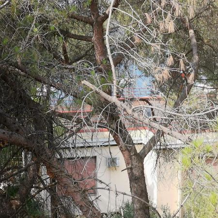 Apartman Lucica Zadar Dış mekan fotoğraf