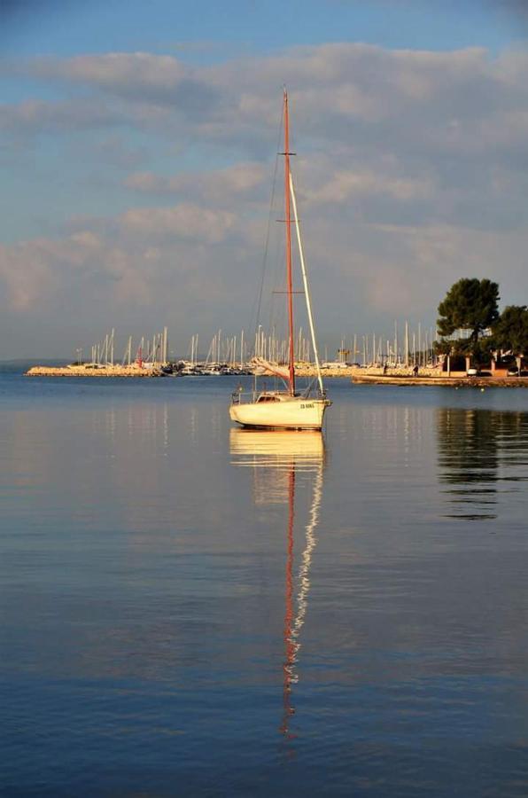 Apartman Lucica Zadar Dış mekan fotoğraf