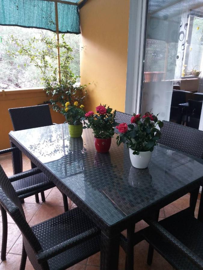 Apartman Lucica Zadar Dış mekan fotoğraf