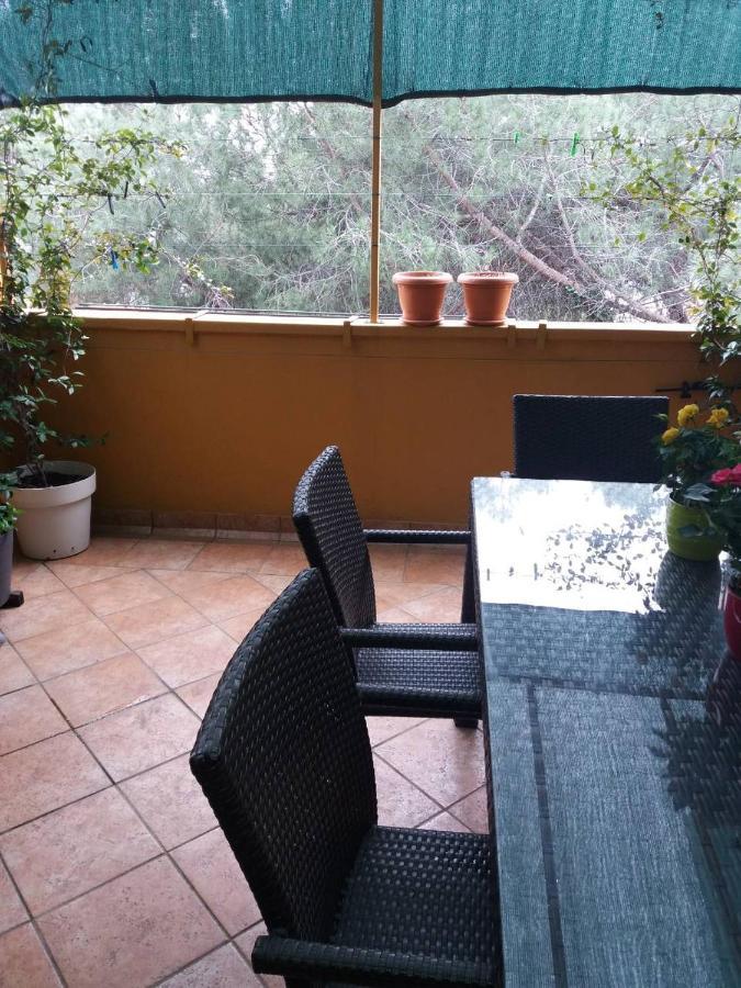 Apartman Lucica Zadar Dış mekan fotoğraf