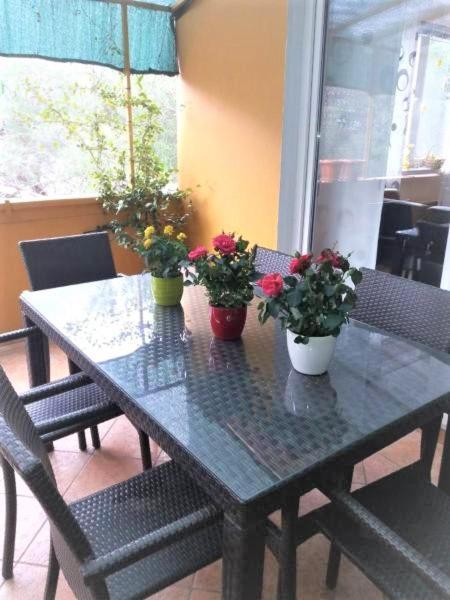 Apartman Lucica Zadar Dış mekan fotoğraf